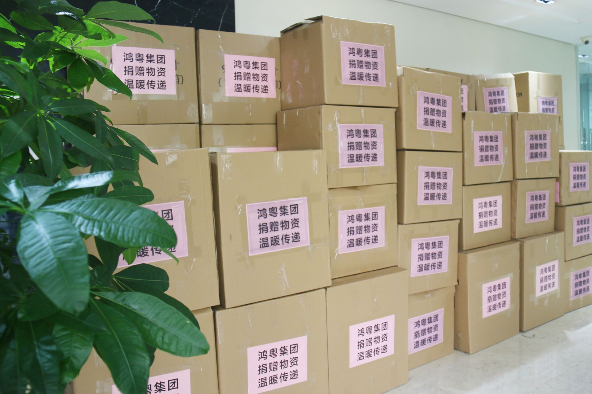 天津邢硕牧业中介服务有限公司公益回顾丨家国同欢月同圆 温暖满载甘孜州(图1) 天津邢硕牧业中介服务有限公司公益回顾丨家国同欢月同圆 温暖满载甘孜州(图1)